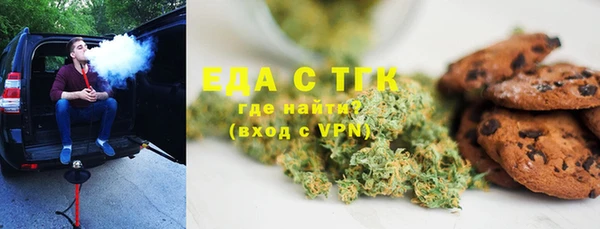 индика Абаза