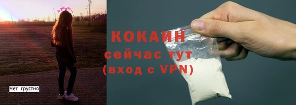 индика Абаза
