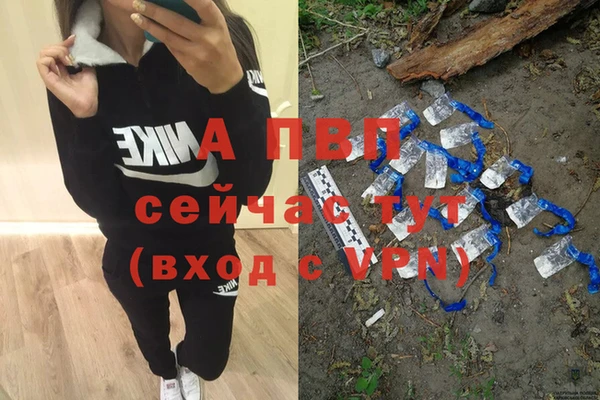 индика Абаза