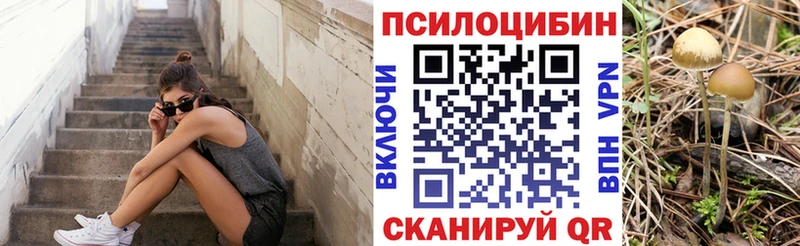 Галлюциногенные грибы MAGIC MUSHROOMS  купить  сайты  Тетюши 